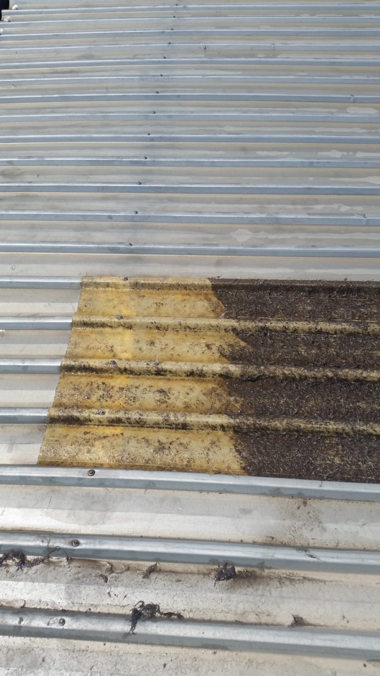 Industrial Waterproofing Case Study | Perth | CCA